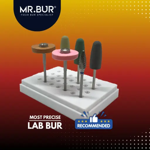 [SL1 POLISHING KIT] STUDENT LABORATORY POLISHING BUR KIT 